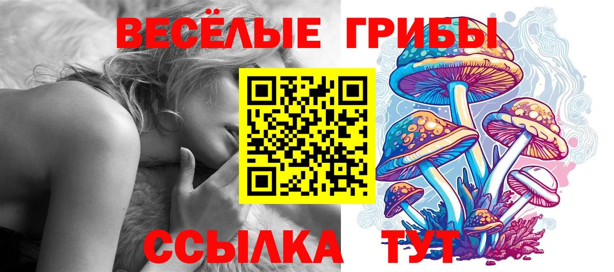 Галлюциногенные грибы Magic Shrooms  Вход с VPN  Ефремов 