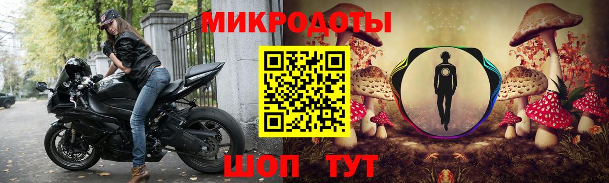 Галлюциногенные грибы Cubensis Ефремов